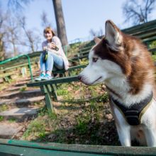 „Kaunas tvarkosi“: miestą ir jo parkus švarino ir darželinukai