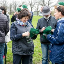 Neeilinė šventė – Rumšiškėse pasodinti šimtamečių ąžuolų klonai