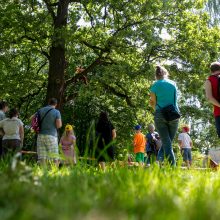 Ąžuolyno parkas kauniečiams atskleidė gamtos paslaptis