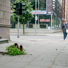 Karštį pakeitęs stiprus vėjas Kaune grasina nelaimėmis