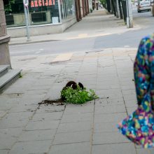 Karštį pakeitęs stiprus vėjas Kaune grasina nelaimėmis