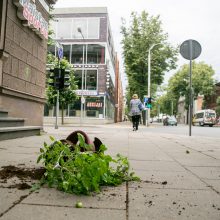 Karštį pakeitęs stiprus vėjas Kaune grasina nelaimėmis