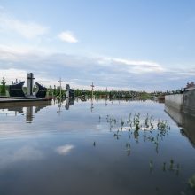 Vainatrakio kapinėse apsilankęs kaunietis: situacija čia siaubinga