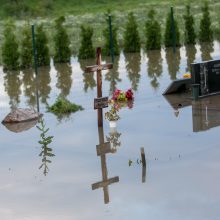 Vainatrakio kapinėse apsilankęs kaunietis: situacija čia siaubinga