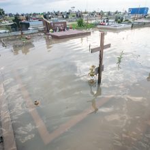 Vainatrakio kapinėse apsilankęs kaunietis: situacija čia siaubinga