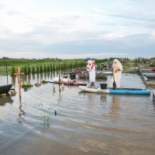 Vainatrakio kapinėse apsilankęs kaunietis: situacija čia siaubinga