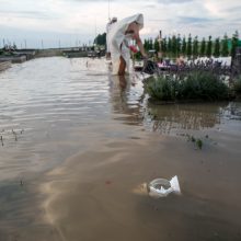 Vainatrakio kapinėse apsilankęs kaunietis: situacija čia siaubinga