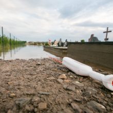 Vainatrakio kapinėse apsilankęs kaunietis: situacija čia siaubinga