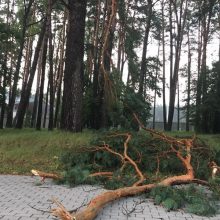 Lietuvoje siautė audra: virto medžiai, elektros neturėjo tūkstančiai žmonių