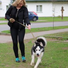 Gyvūnų prieglaudos namuose – netikėti svečiai