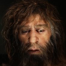 Naujausias atradimas: neandertaliečiai turėjo estetikos pojūtį