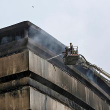 Gamtos istorijos muziejų nuniokojęs gaisras sunaikino neįkainojamas kolekcijas