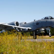 Estijoje JAV karo aviacija surengė pratybas