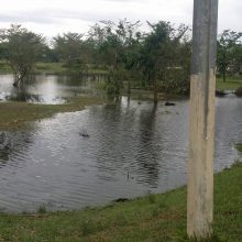 Madagaskare ciklono aukų skaičius išaugo iki 51