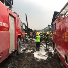 Katmandu sudužus Bangladešo laineriui žuvo 49 žmonės, sužeisti 22 