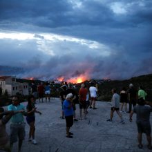 Pražūtingi gaisrai Graikijoje: nelaimės aukų padaugėjo iki 79