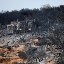 Pražūtingi gaisrai Graikijoje: nelaimės aukų padaugėjo iki 79