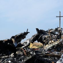 Ukrainos prezidentas giria svarbų teismo sprendimą MH17 katastrofos byloje