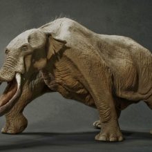 Platibelodonai: priešistoriniai keturilčiai „kastuvasnukiai“ drambliai