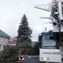 Klaipėdos žaliaskarė atkeliavo į Teatro aikštę