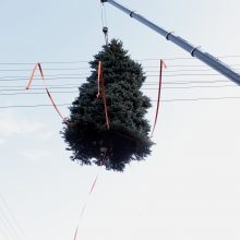 Klaipėdos žaliaskarė atkeliavo į Teatro aikštę