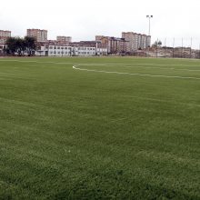 Atnaujinto stadiono kokybė sukėlė abejonių