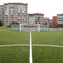 Atnaujinto stadiono kokybė sukėlė abejonių