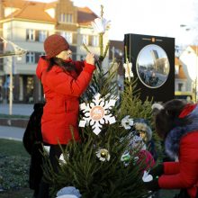 Pamatykite pirmieji: Atgimimo aikštėje išdygo eglučių miškas