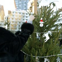 Pamatykite pirmieji: Atgimimo aikštėje išdygo eglučių miškas