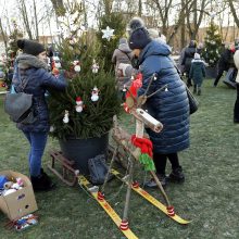 Pamatykite pirmieji: Atgimimo aikštėje išdygo eglučių miškas