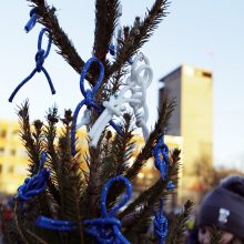 Pamatykite pirmieji: Atgimimo aikštėje išdygo eglučių miškas