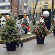 Atgimimo aikštė primena mišką