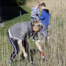 Dangės švarinimo akcija: narai ištraukė krūvą padangų