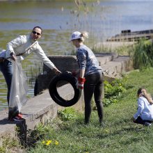 Dangės švarinimo akcija: narai ištraukė krūvą padangų