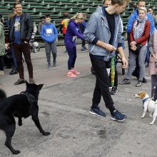 Klaipėdiečiai su augintiniais bėgo per liūtį