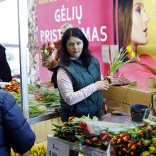 Uostamiesčio moterims – tulpių žiedai