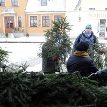 Teatro aikštėje dovanojo eglių šakas