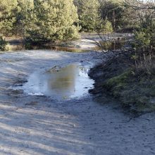 Kopose tyvuliuoja vandens telkinys