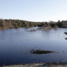 Kopose tyvuliuoja vandens telkinys