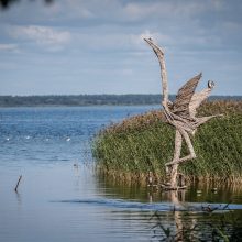 Skulptūros Juodkrantėje virs liepsna