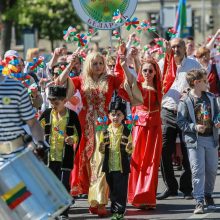 Tautinių mažumų festivalis