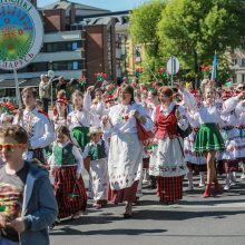 Tautinių mažumų festivalis