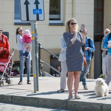 Tautinių mažumų festivalis