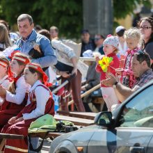 Tautinių mažumų festivalis