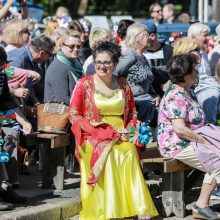 Tautinių mažumų festivalis