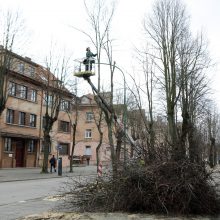 Tvarkymo darbai Šimkaus gatvėje