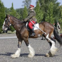 Dragūnų batalionui – 30 metų: iškilmėse aidėjo ne tik senovinės patrankos šūviai