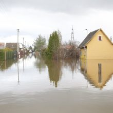 Purmaliuose vanduo tuoj sieks namų stogus