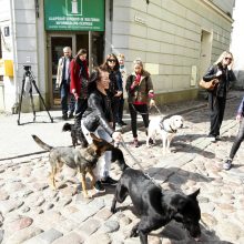 Uostamiesčio kavinėse ir įstaigose „šunininkai“ laukiami