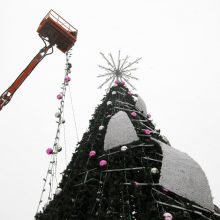 Uostamiesčio eglutė virs sūpynėmis